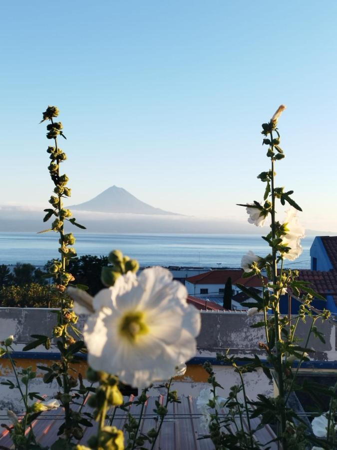 Magma Rral3529 Daire Velas Dış mekan fotoğraf